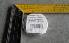 Заглушка чашечная (пробка) блока цилиндров 22х8 (Euro 2/Euro 3) 190003989721