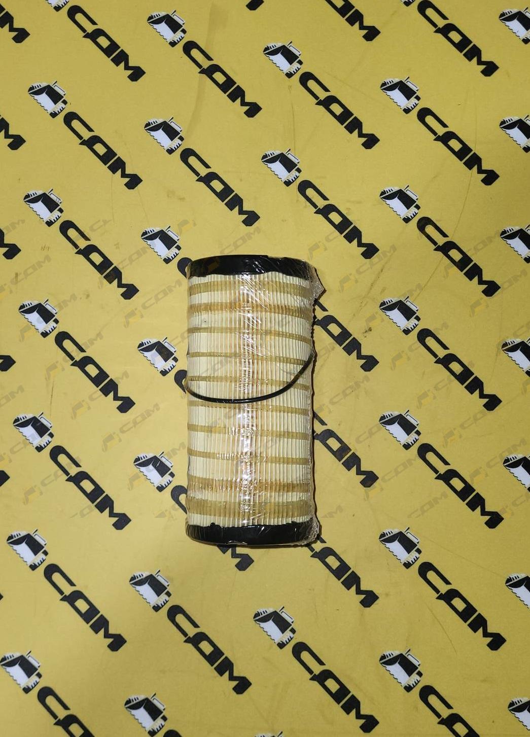 Фильтр-элемент топливный C01AM73/4816636 FS20009