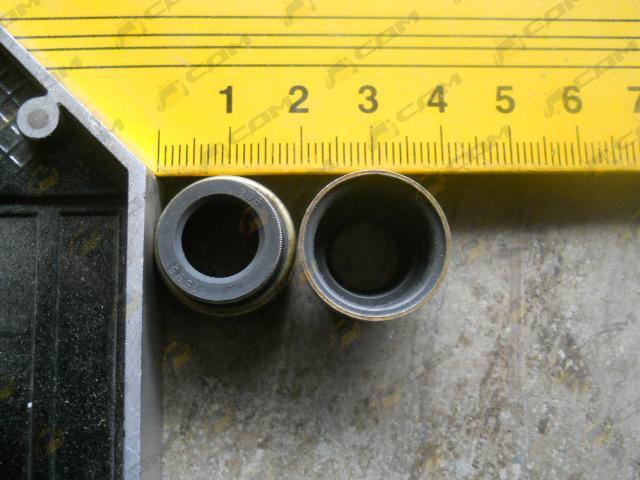 Колпачок маслосъёмный d=11 D=16 (EURO2) HOWO VG1560040032