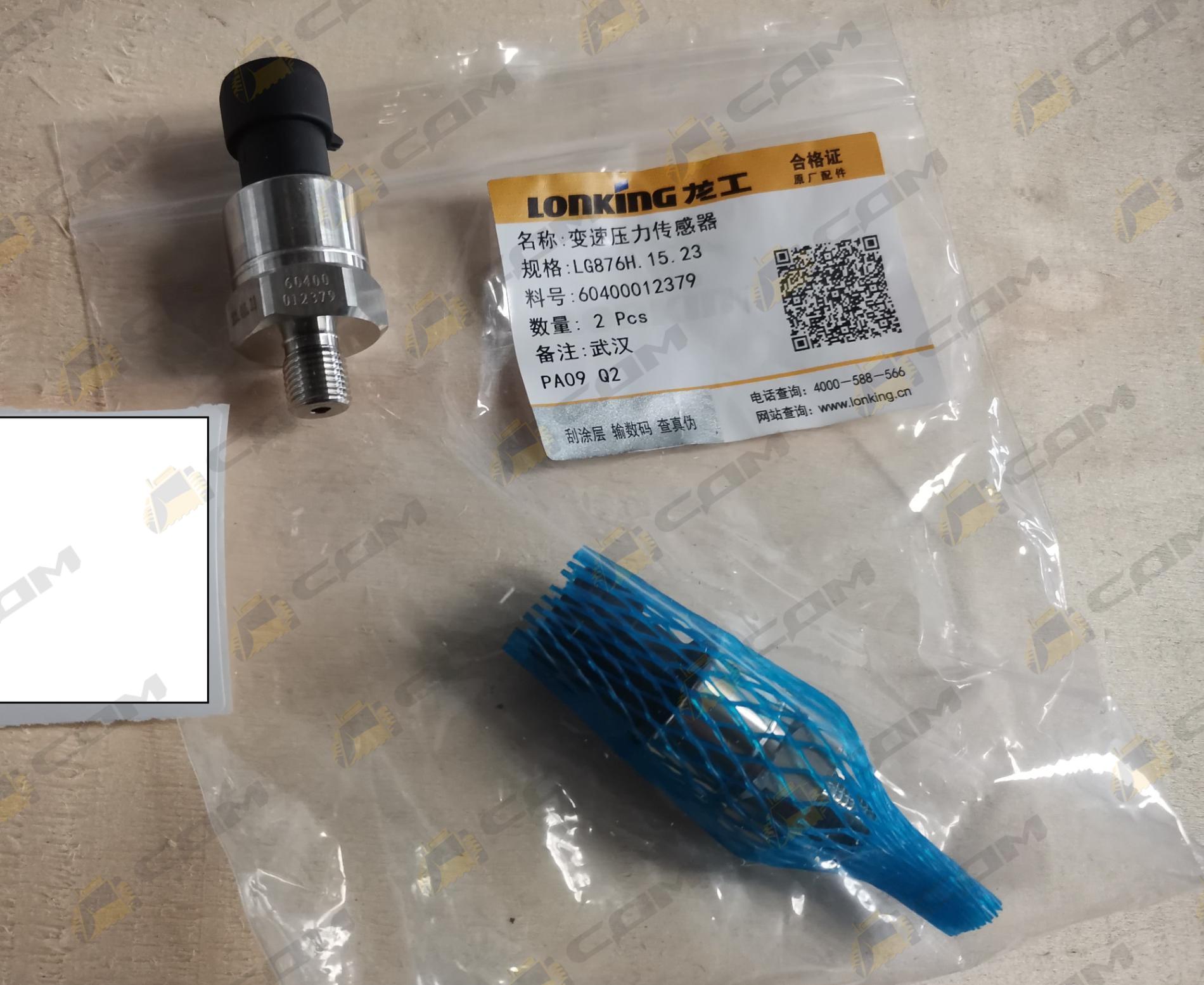 Датчик давления с переменной скоростью вращения LG876H 60400012379/LG876H.15.23